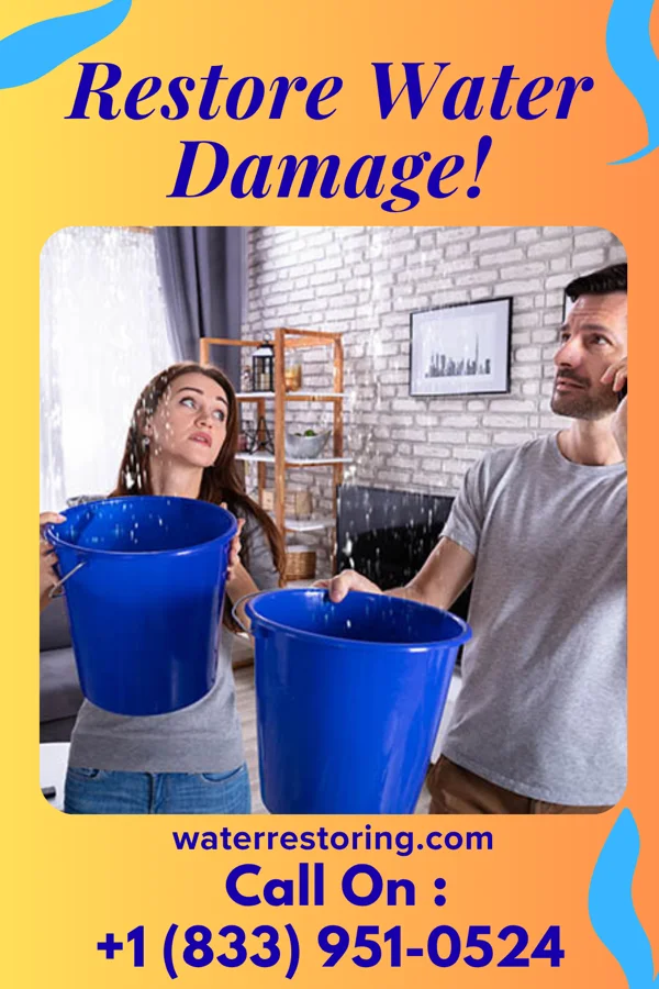water restoration Classic Water Removal Professionals South Pottstown