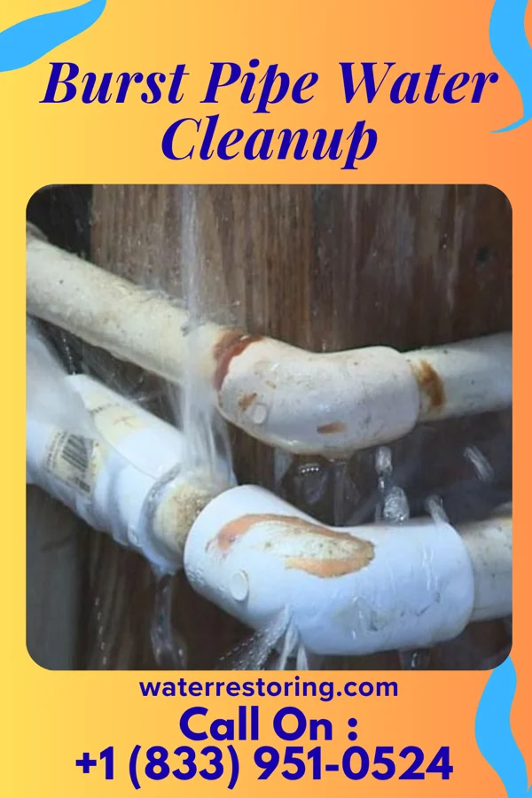 Burst Pipe Water Cleanup in South Pottstown, PA