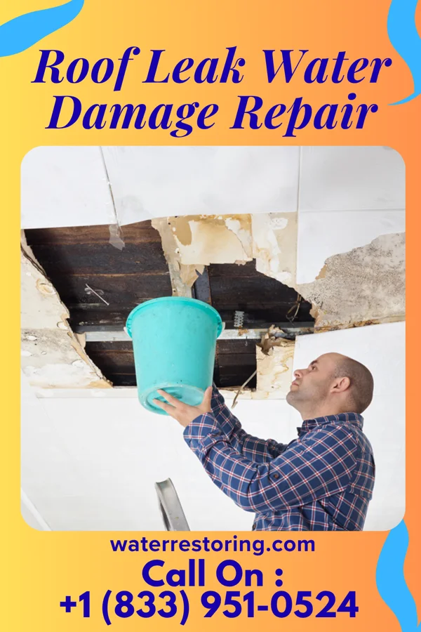 Roof Leak Water Damage Repair in South Pottstown, PA
