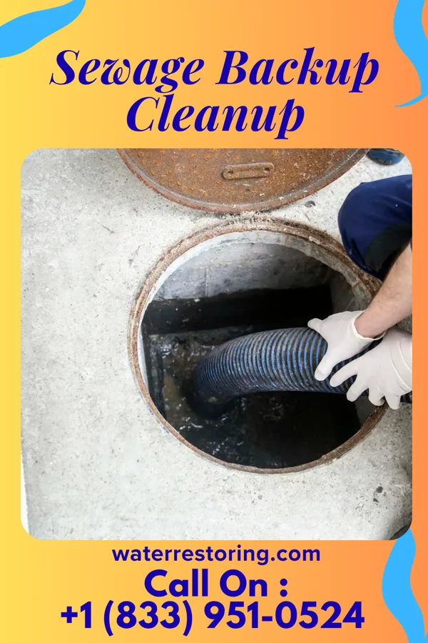 Sewage Backup Cleanup in South Pottstown, PA